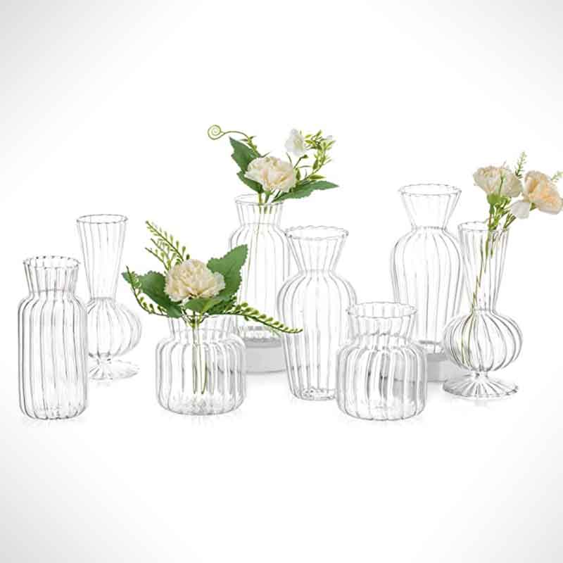 8 clear glass vases on white with a few flowers.