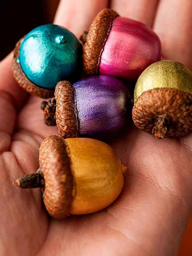 A hand holding 5 painted acorns.
