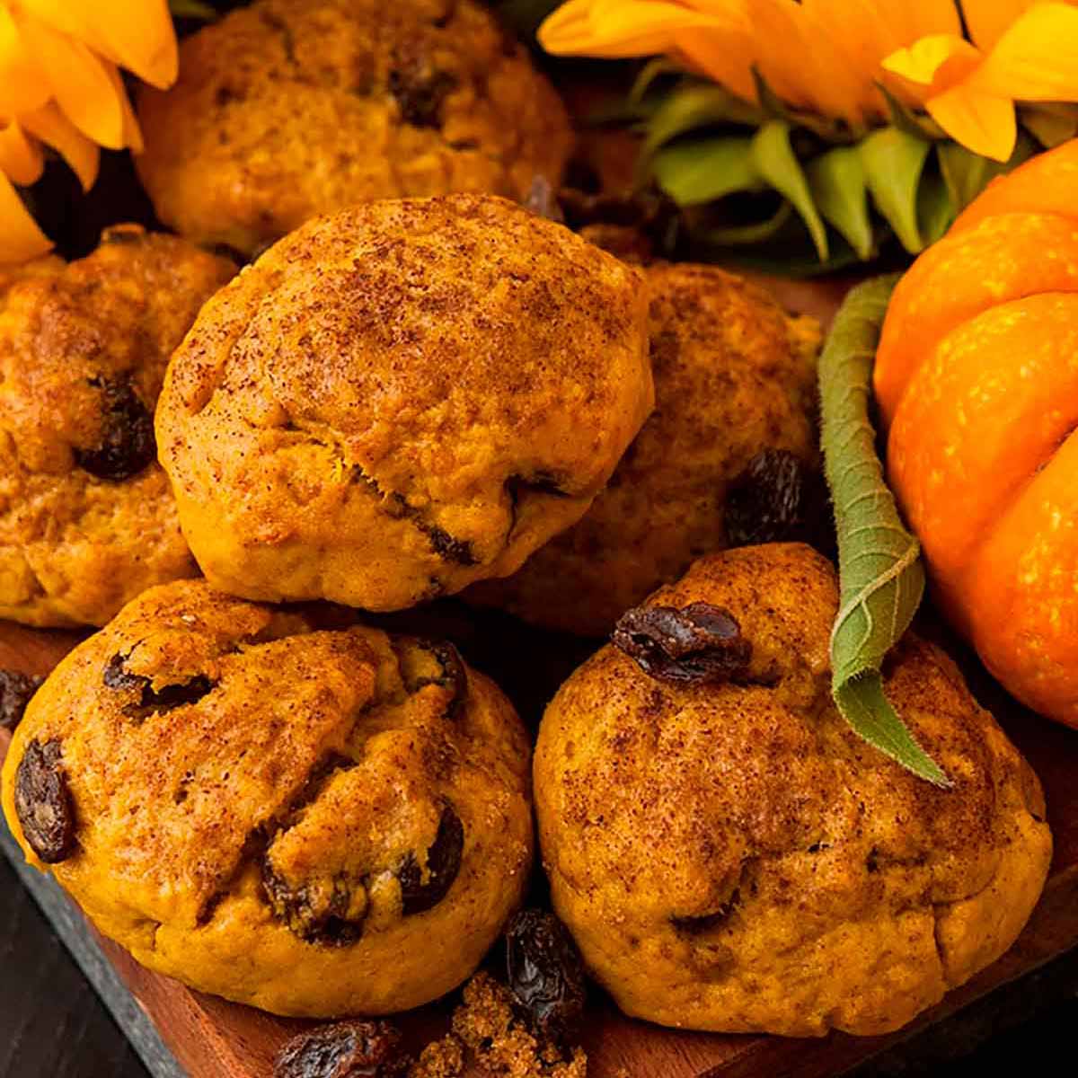 Pumpkin scones beside a small pumpkin and sunflower on a wooden board.