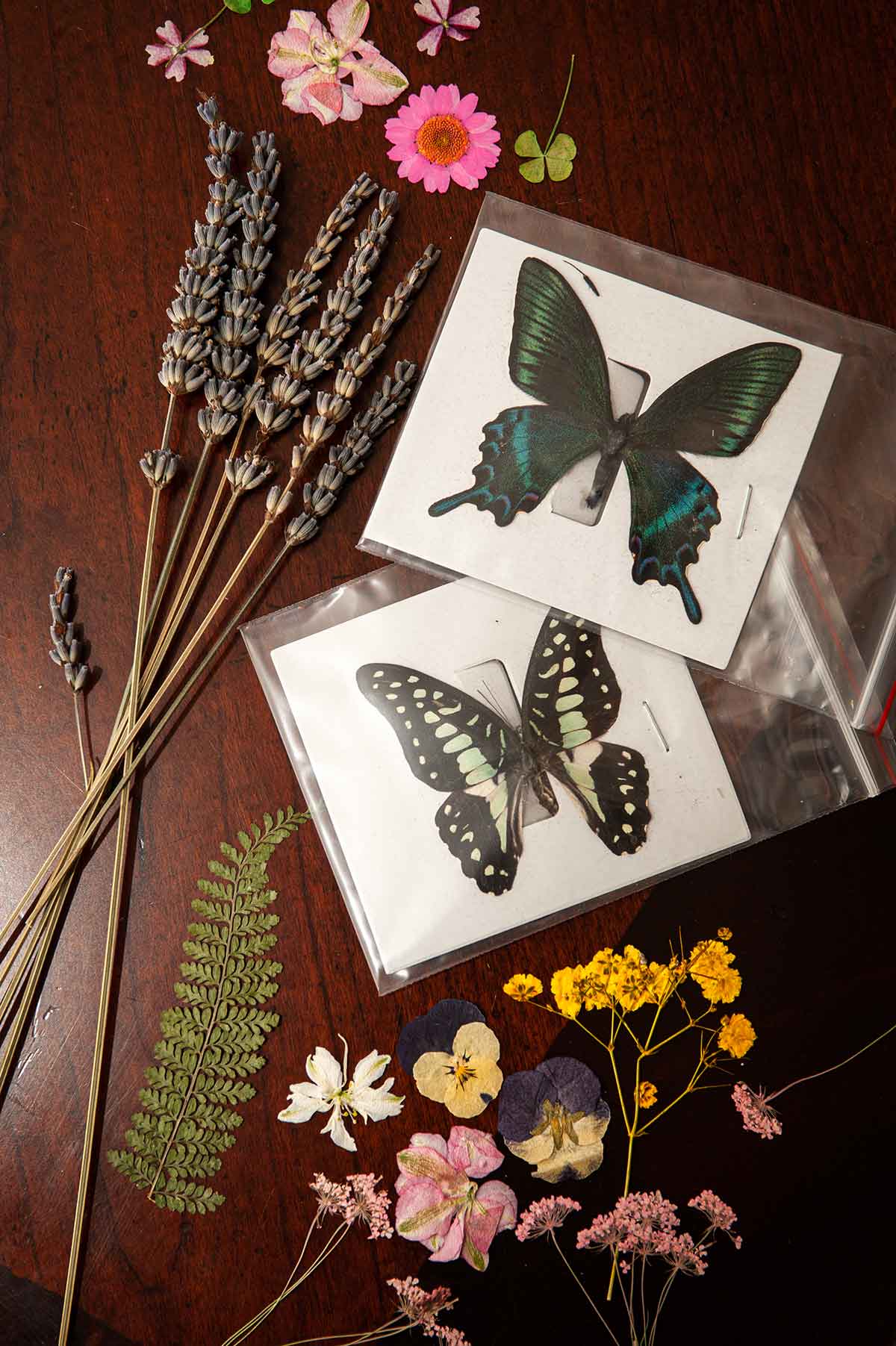 2 butterflies and mixed, dried flowers on a table.