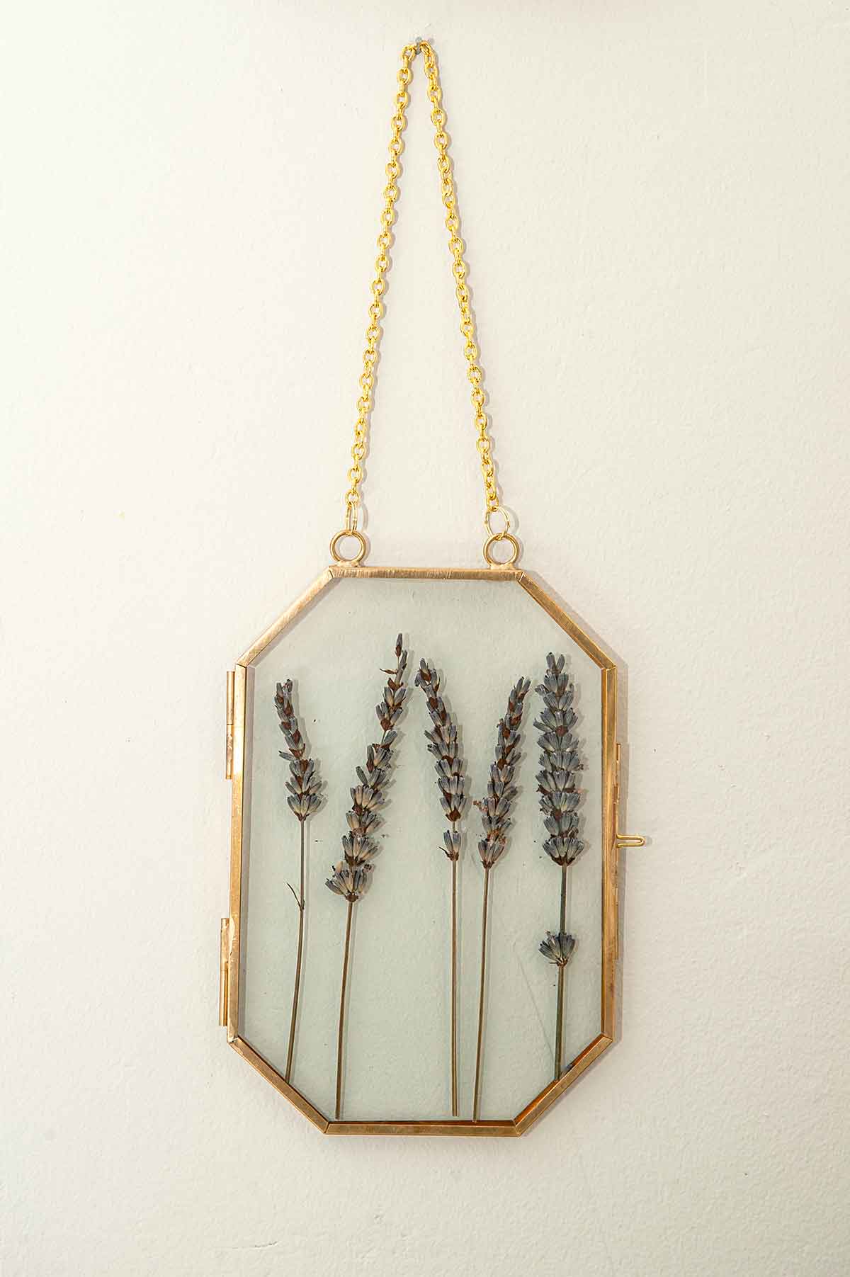 A clear frame with 5 sprigs of lavender on a wall.
