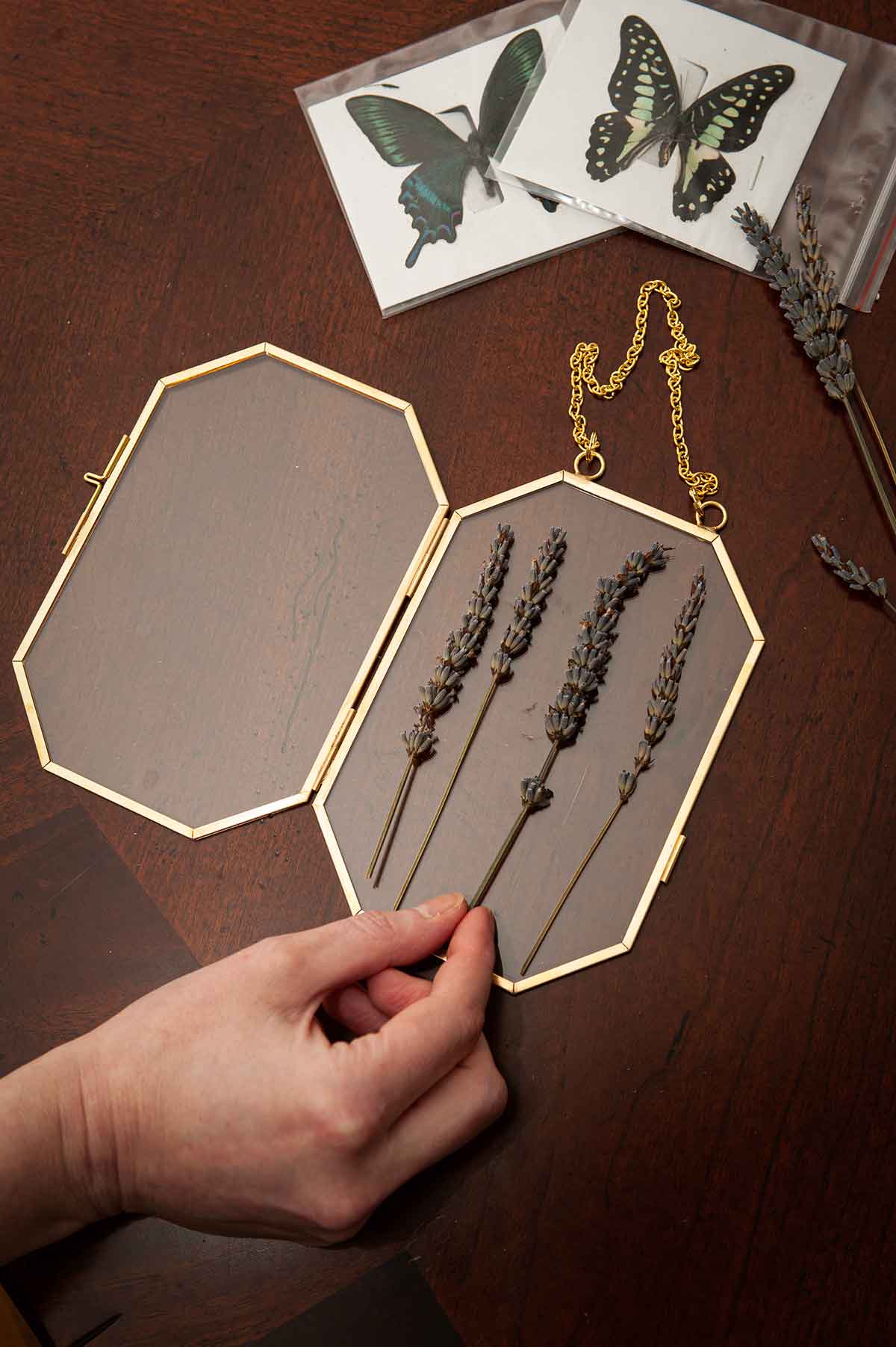 Fingers placing lavender on a clear frame on a table.