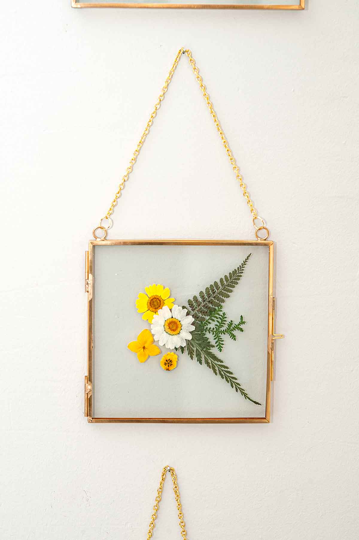 A square frame with flowers and leaves on a wall.