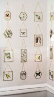 16 clear frames with flowers and butterflies on a wall.