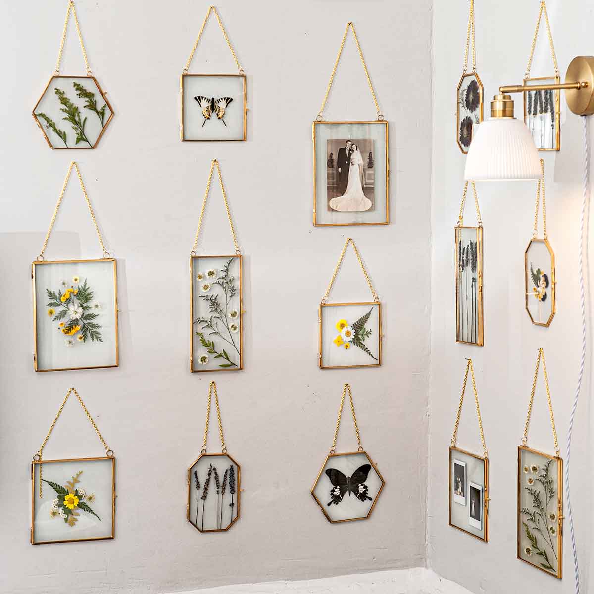 14 clear frames with flowers and butterflies on a wall.
