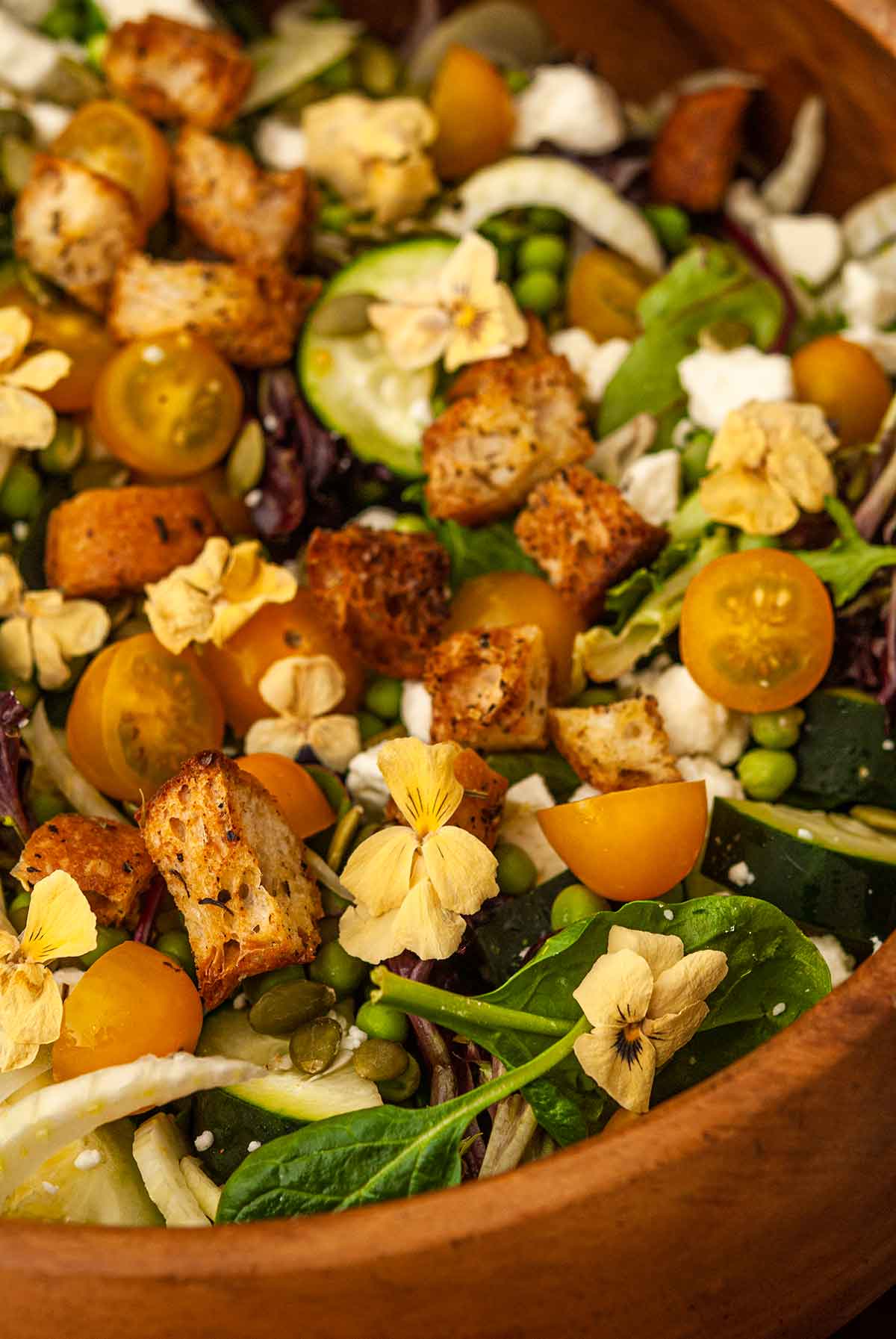 The vegetables and croutons in a salad.