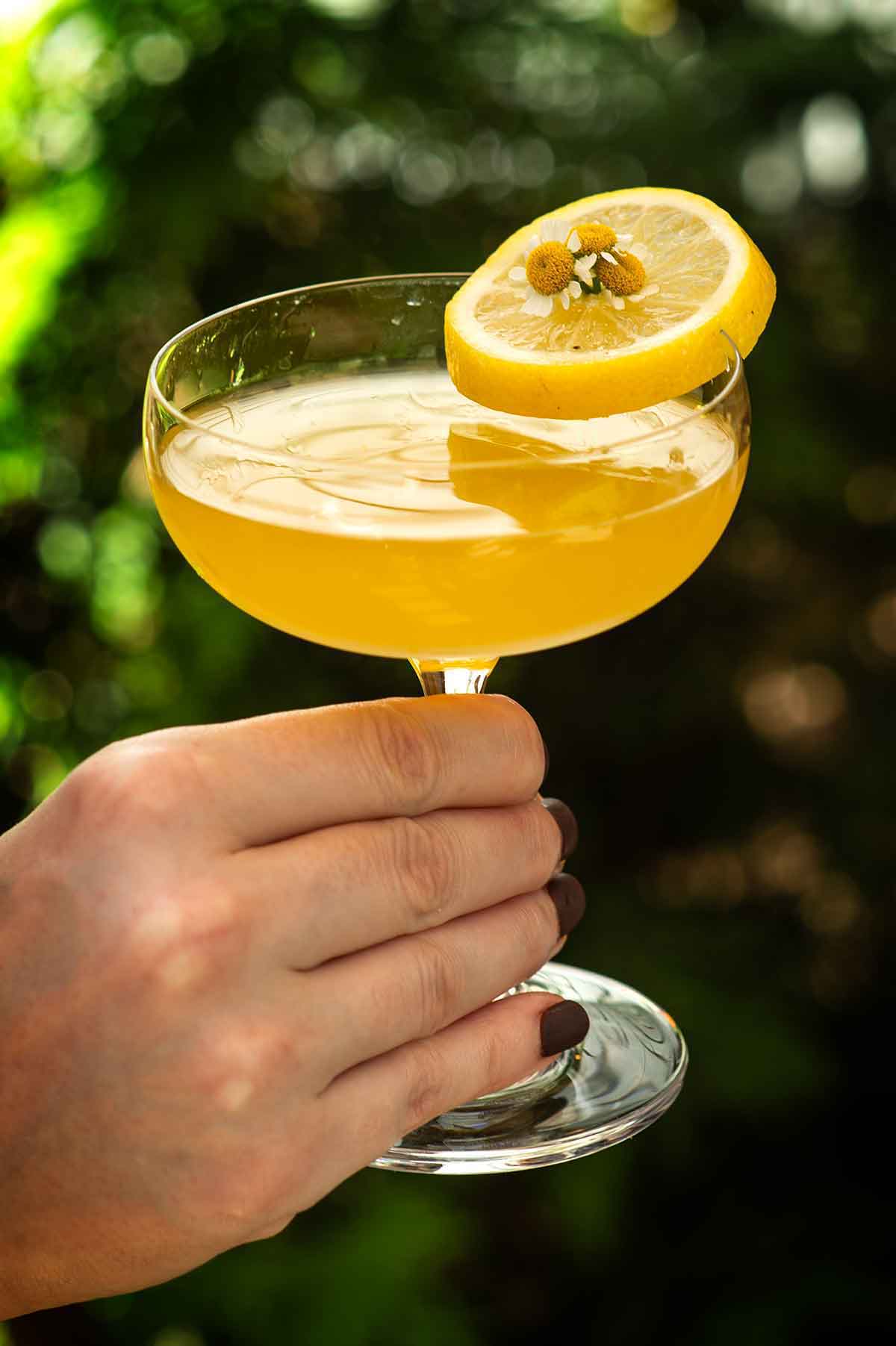 A hand holding a cocktail with a fancy lemon garnish with flowers.