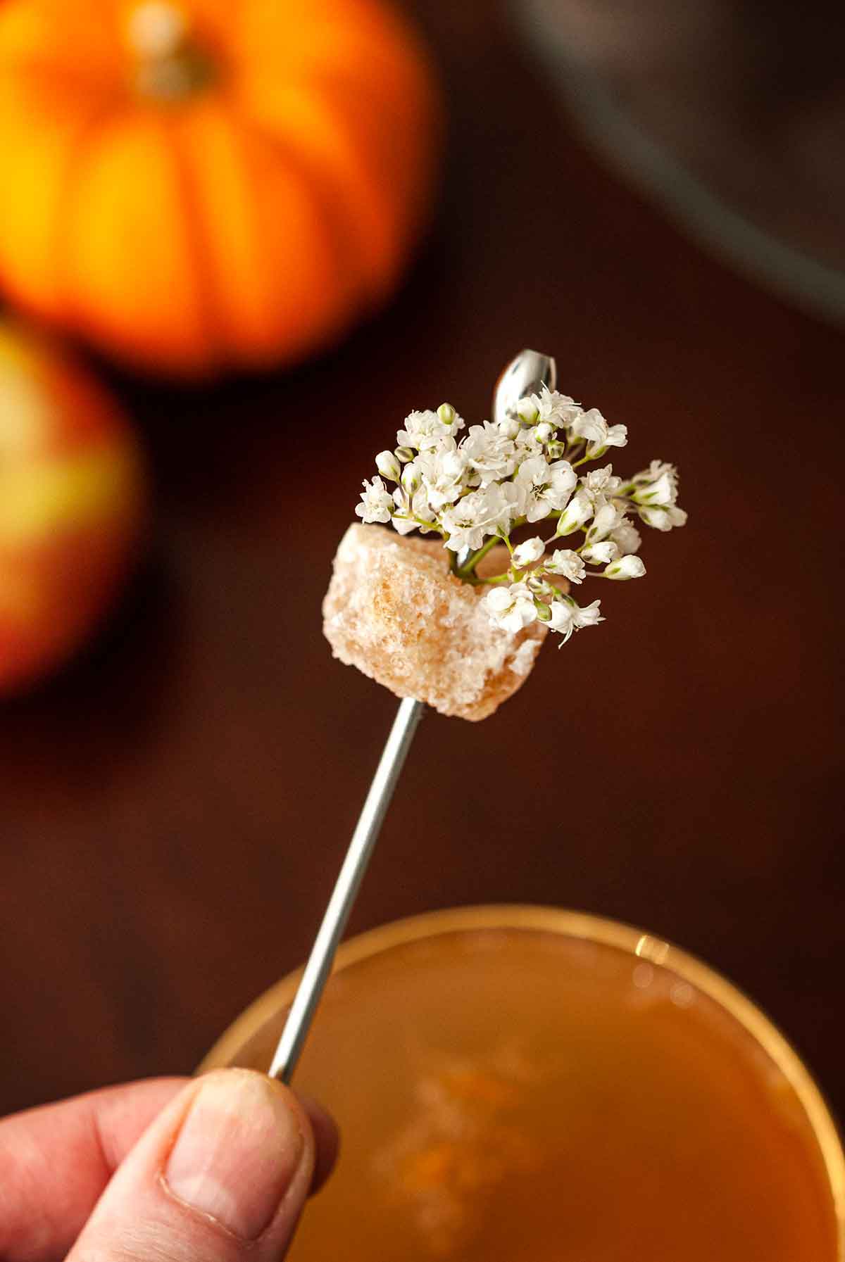 Fingers holding a ginger-flower garnish above a cocktail.