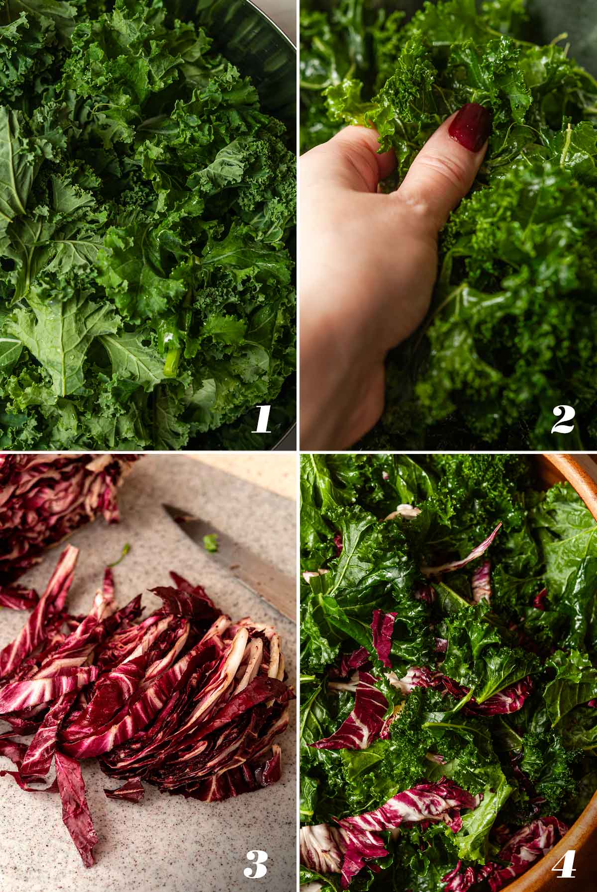 A collage of 4 numbered images showing how to prepare kale and radicchio for salad.