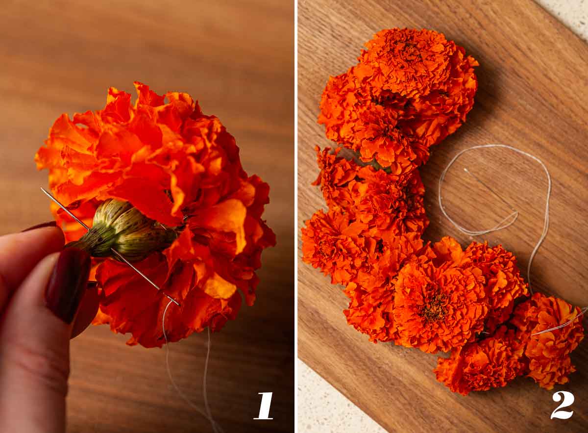 2 numbered images showing how to make a dry marigold garland.