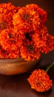 A bowl of dried marigolds on a table.