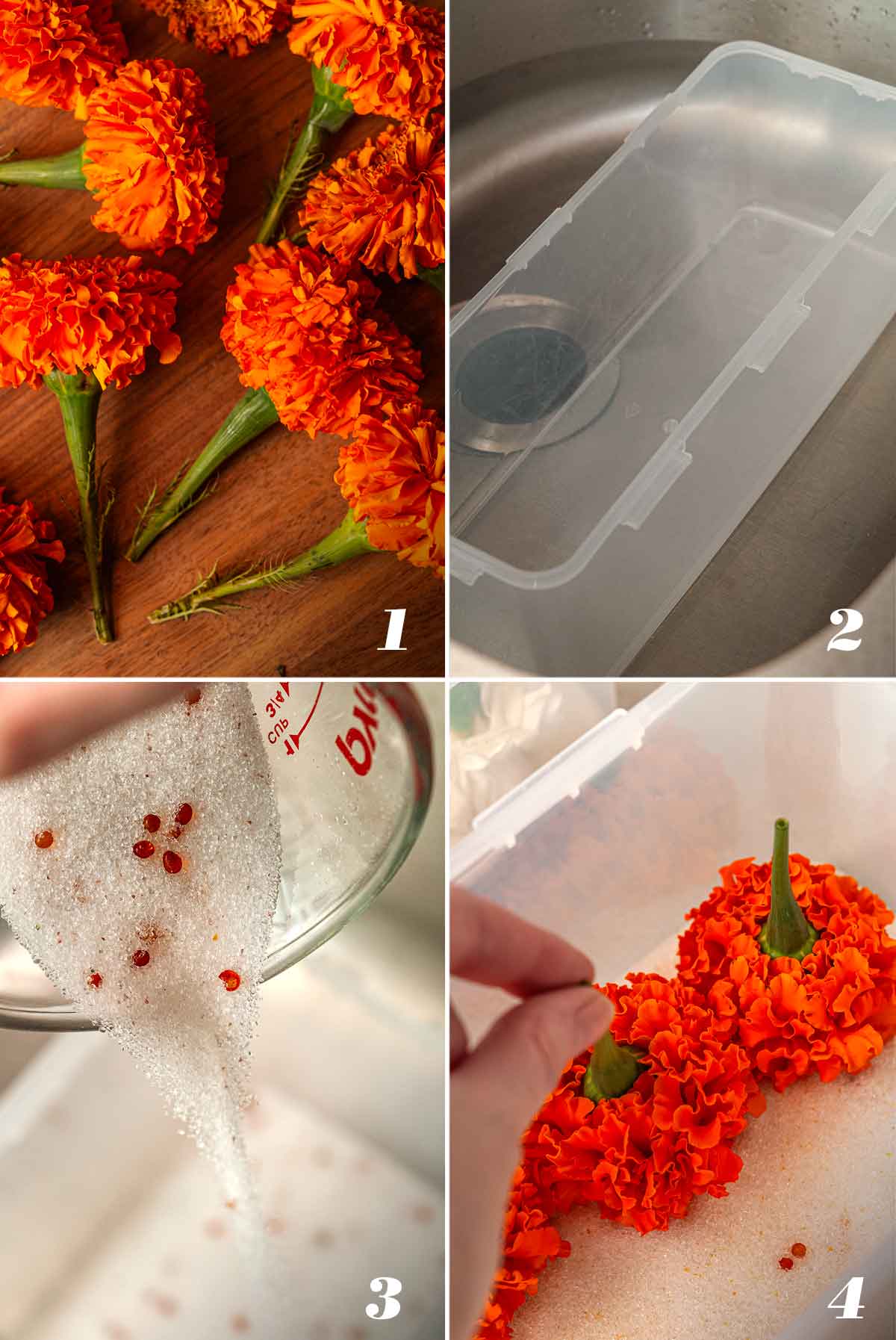 A collage of 4 numbered images showing how to dry marigolds with silica gel.