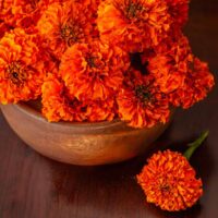 A bowl of dried marigolds on a table.