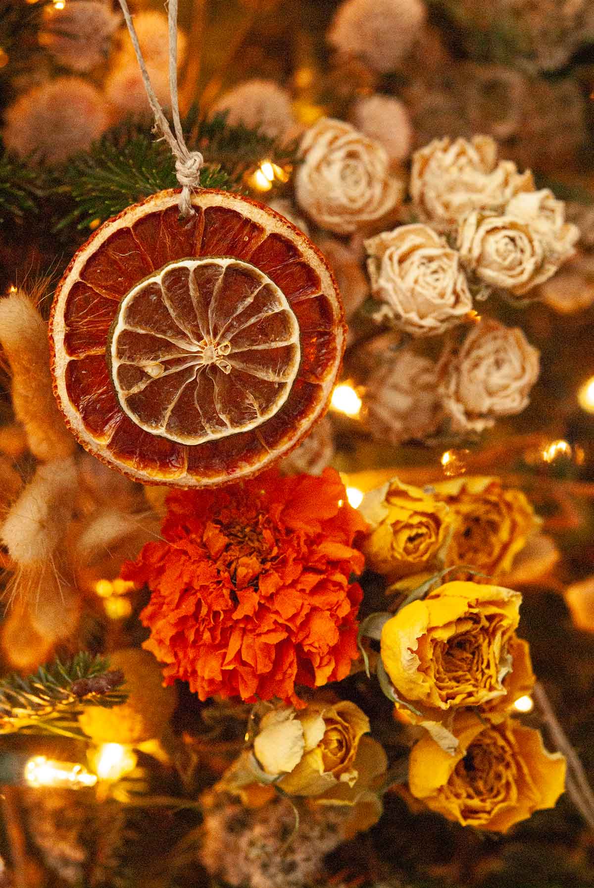 A citrus ornament in front of bright roses in a Christmas tree.
