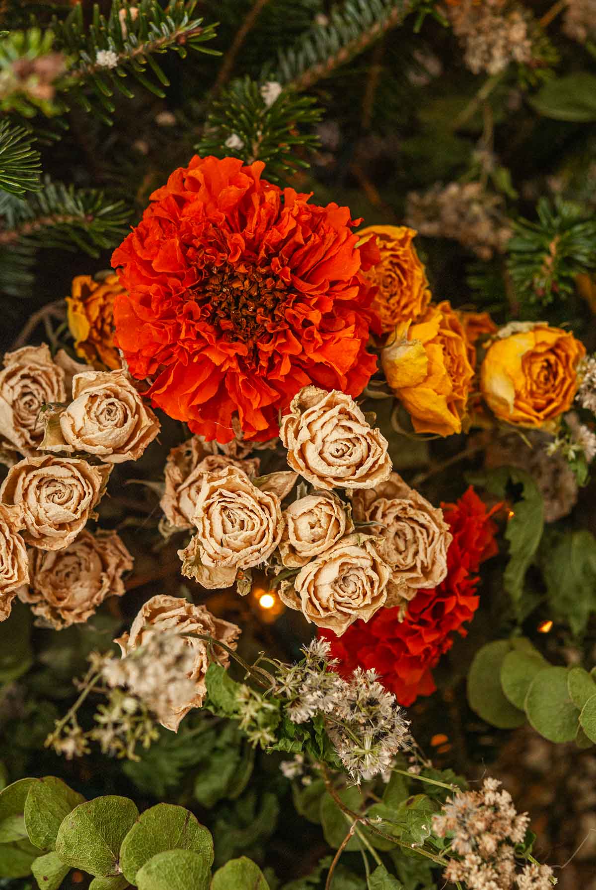 Dry Roses and marigolds in a Christmas tree.