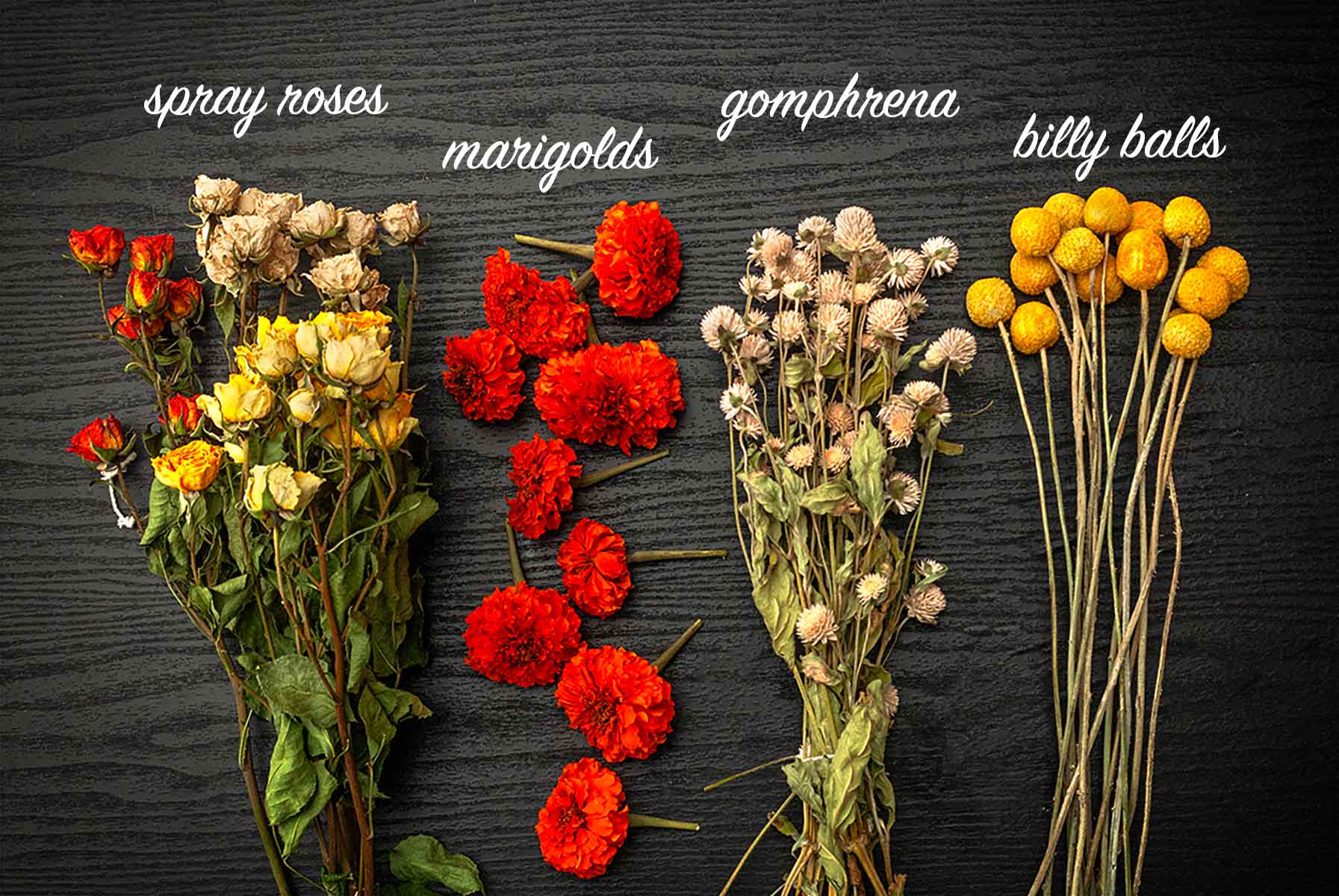 Spray roses, marigolds, gomphrena and bily balls on a table with labels describing what the are.