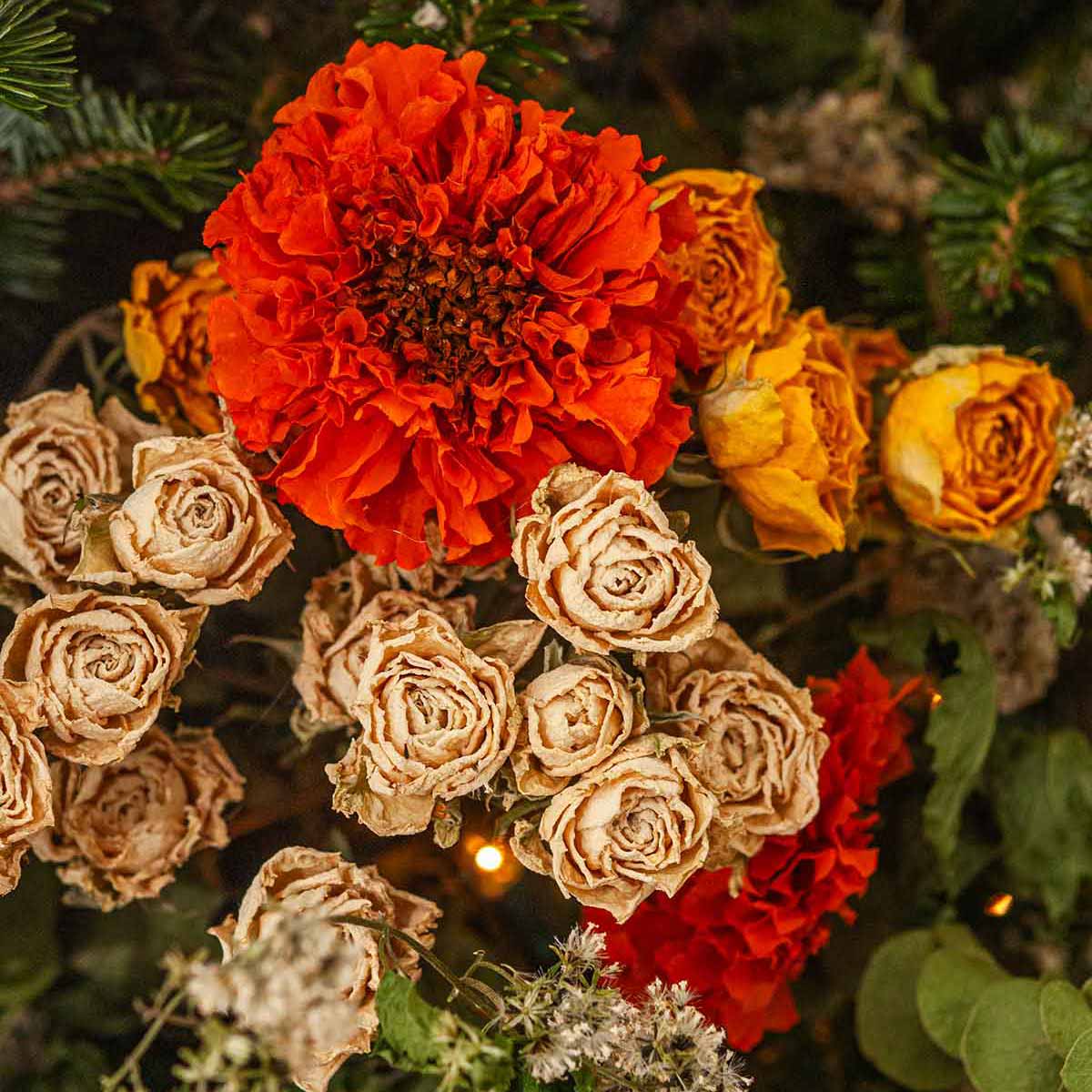 Dry Roses and marigolds in a Christmas tree.