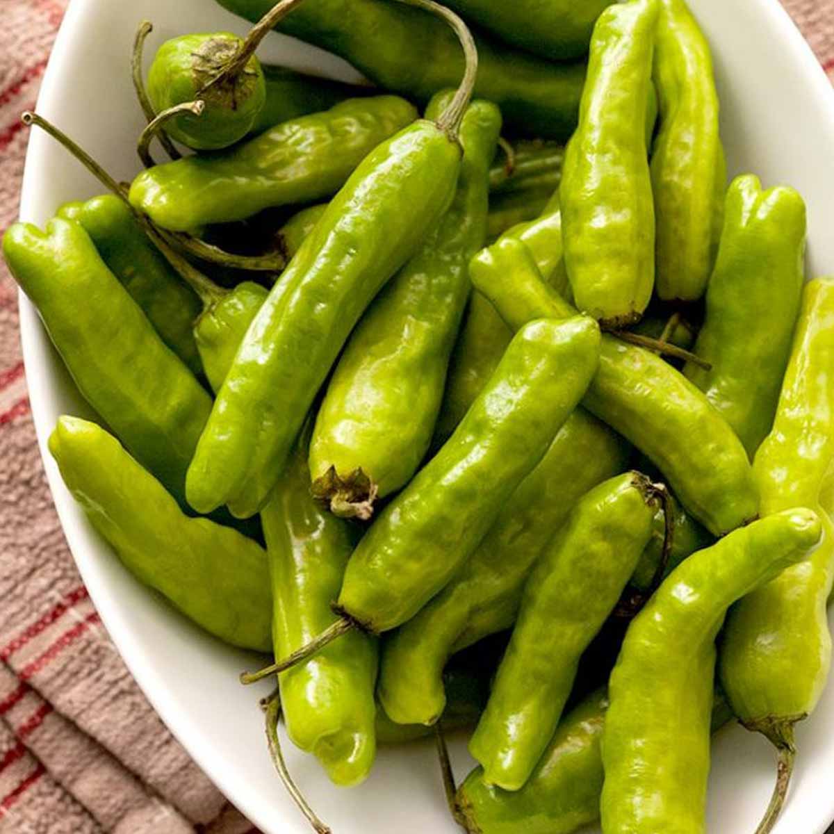 A bowl of shishito peppers.