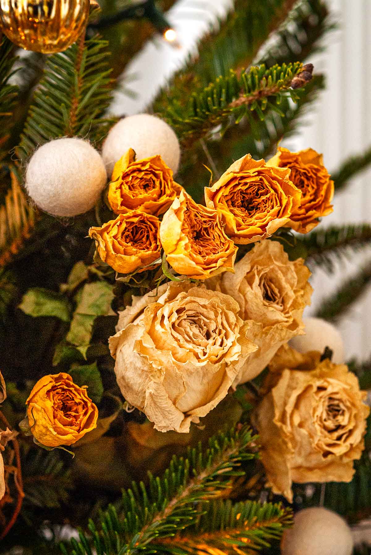 Dry roses in a Christmas tree.