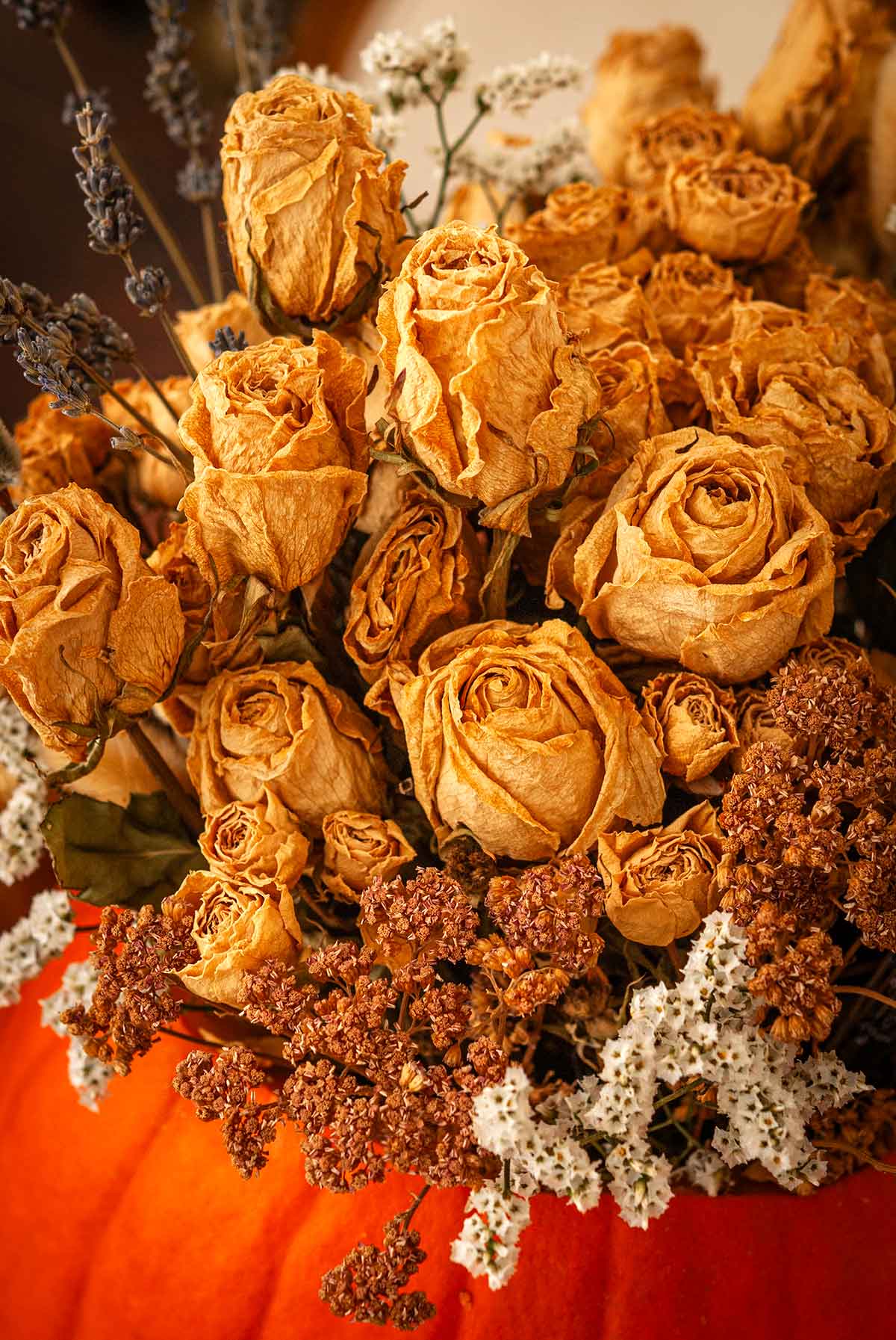 Dry roses in a pumpkin vase.
