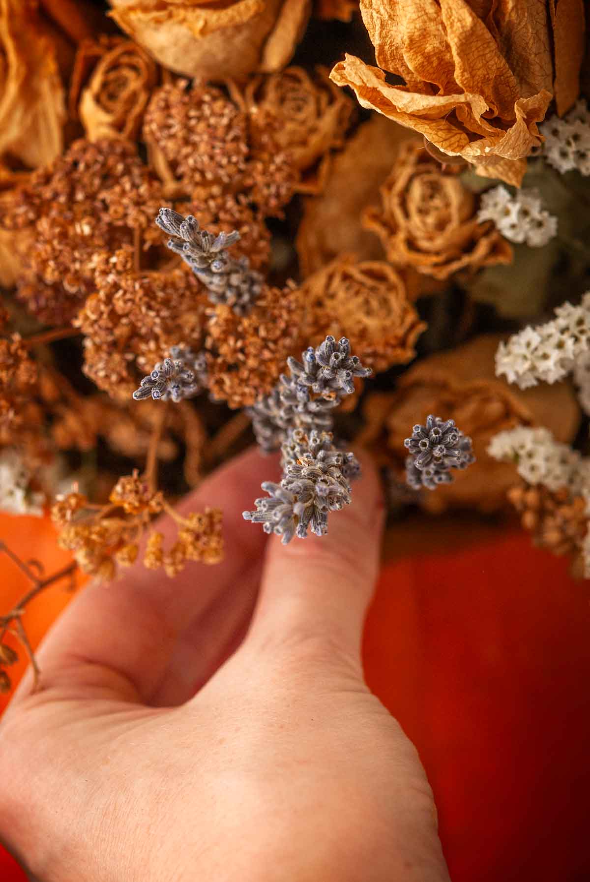 Fingers placing lavender in a pumpkin bouquet.